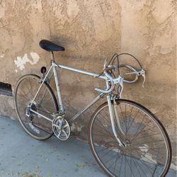 Nishiki Road Bike