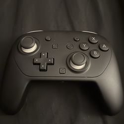 Switch 2 pro controller