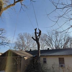 Tree Pruning. 🌳 Free Estimate