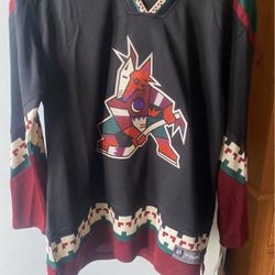 Fantastic Woman’s XL Jersey 