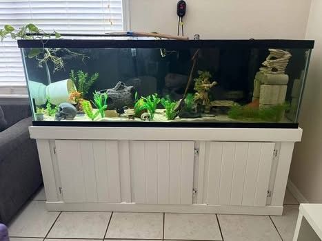 125 Gallon Aquarium