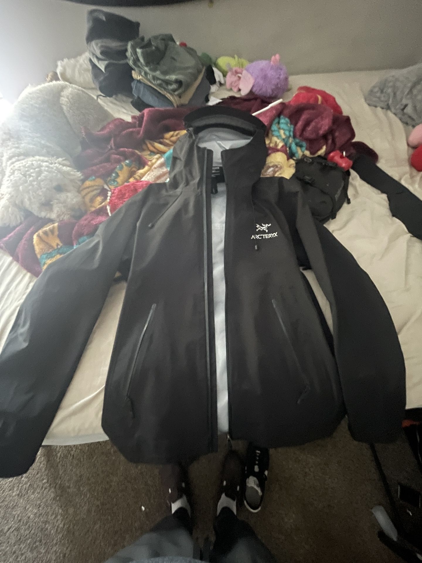 Arcteryx Beta Ar Jacket