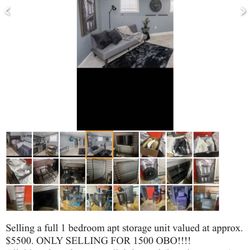Full 1 Bedroom Apartment Furniture Storage Unit