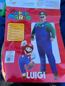Adult costume Luigi Plus