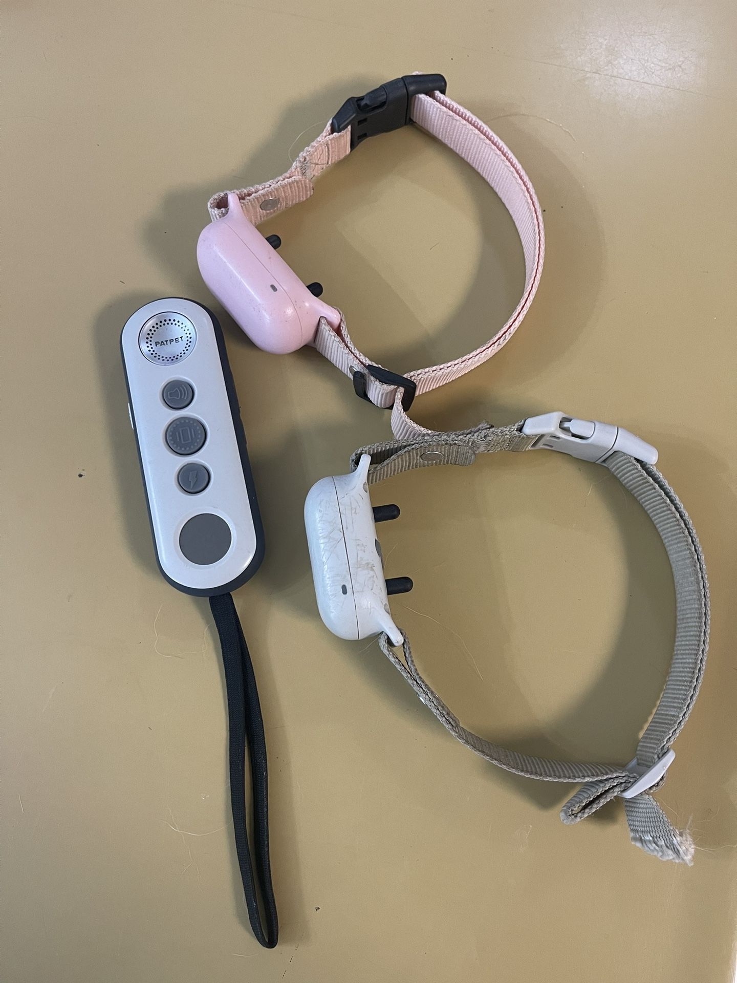 Dog collars (2)