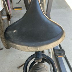 Schwinn Mesinger Seat
