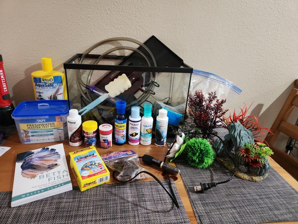 5 gallon Betta Set Up 
