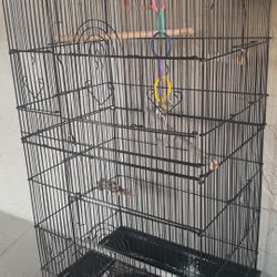 Bird Cages