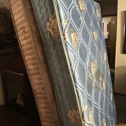 2 FREE Twin Sized Mattresses 