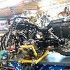 Harris