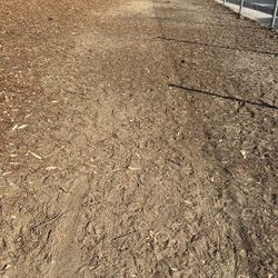 Música Para Fiestas 