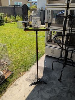 Bird stand