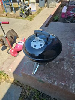Weber BBQ