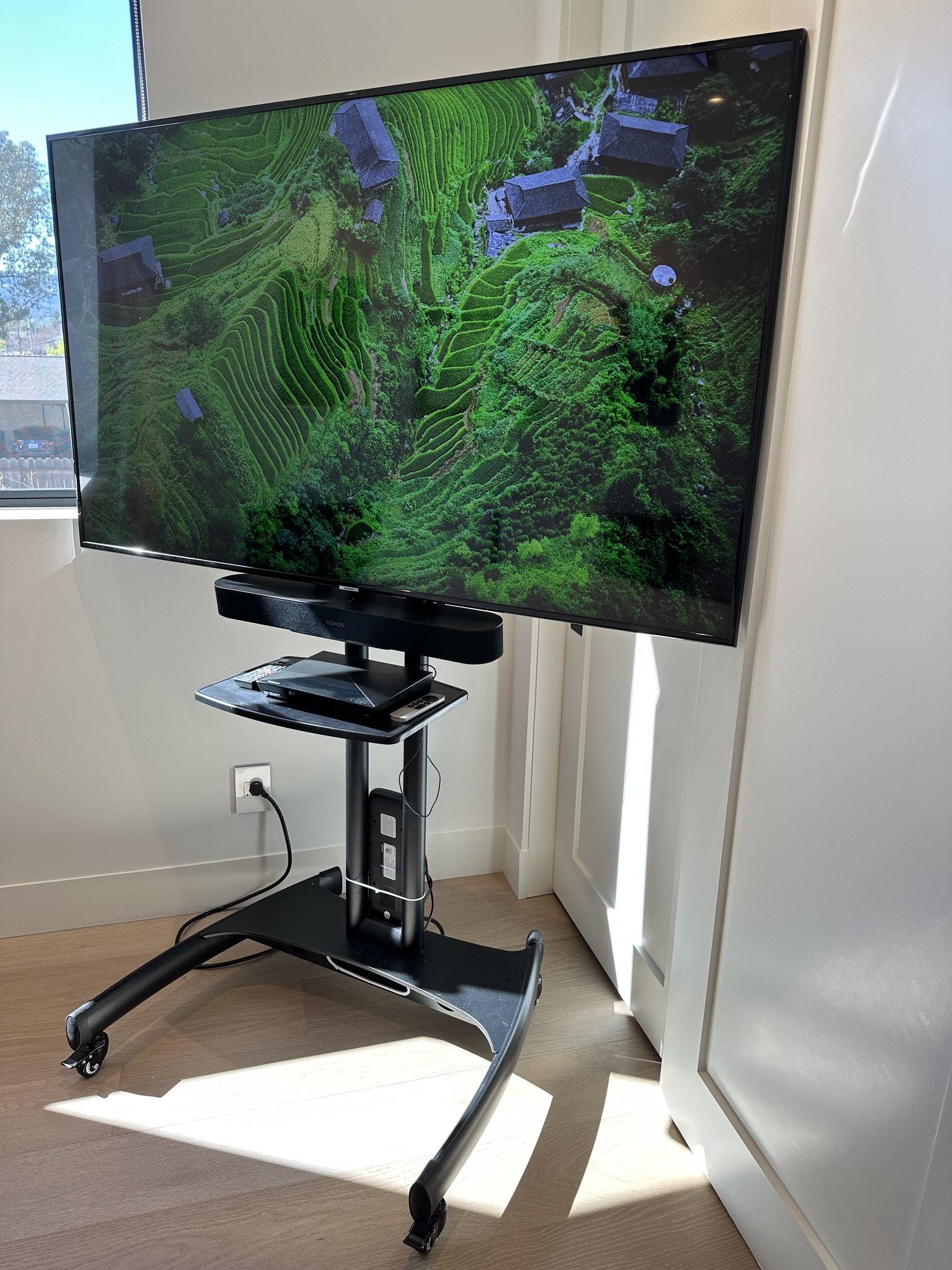 Samsung 4K 65" TV with Rolling Cart