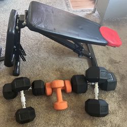 Dumbbell Set+ Bench Press