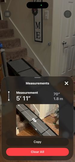Dog ramp
