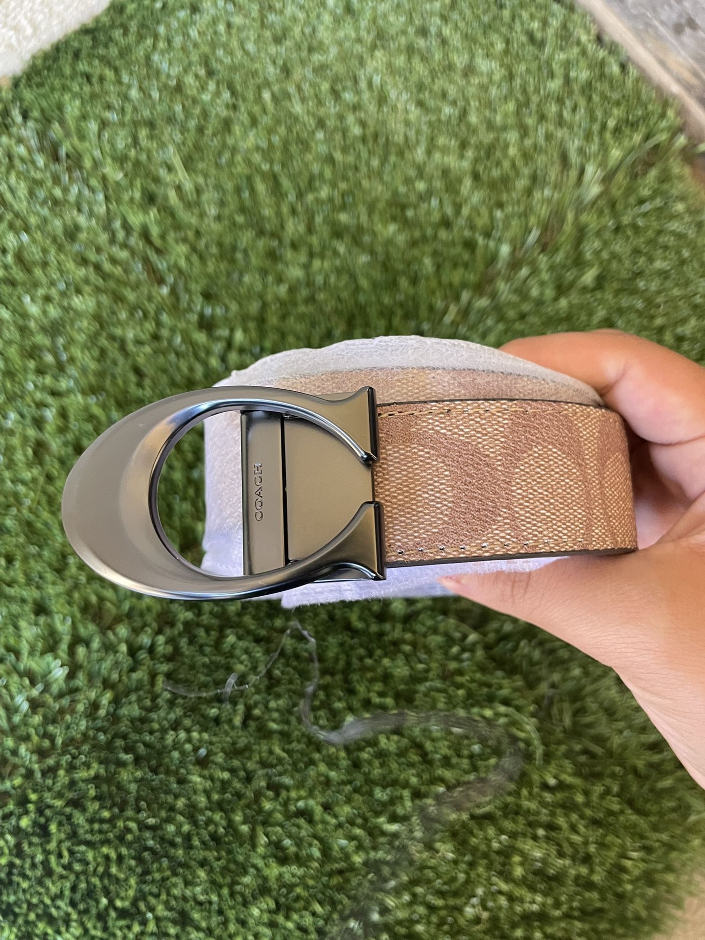 COACH BELT