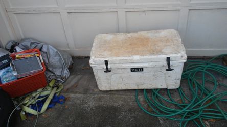 Yeti