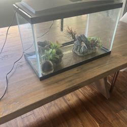 10 Gallon Fish Tank + Accessories