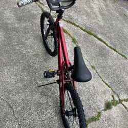 20" bike Surge NEXT (in Des Moines)