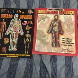 Humand Body Books For Kids