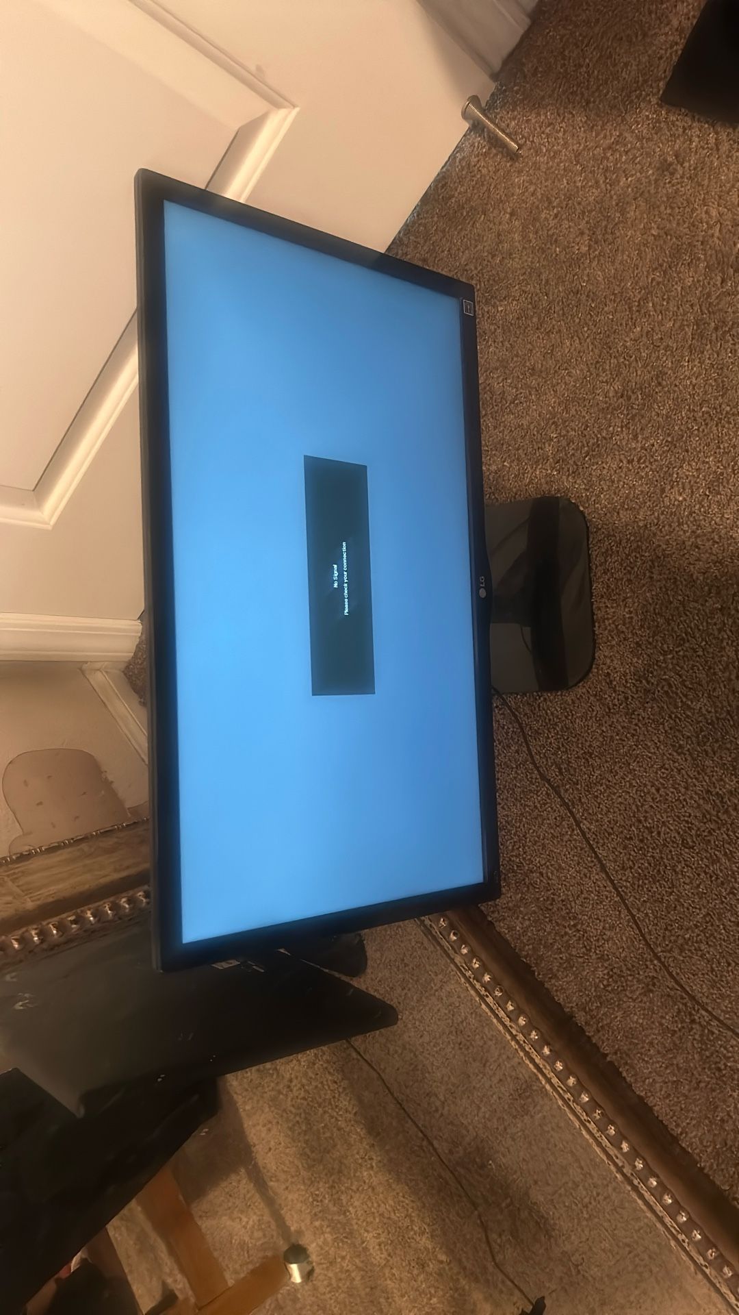 LG Monitor