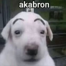 Auto maintenance, Bigger jobs DM me. 