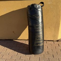 Everlast Punching Bag 