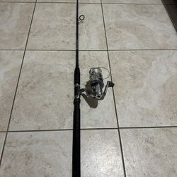 Saltwater 7’ Rod And Berkley Fusion 206 Reel Set Up 