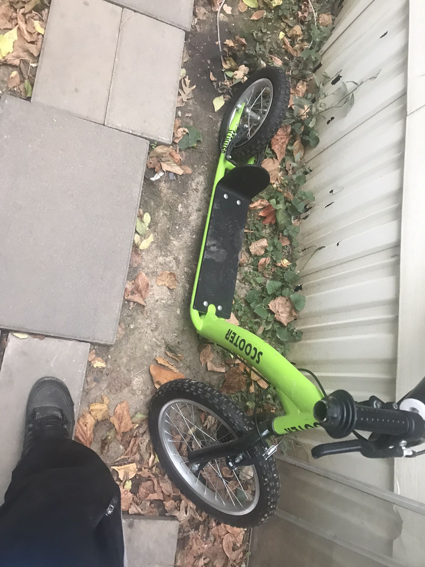 Adult Kick Scooter