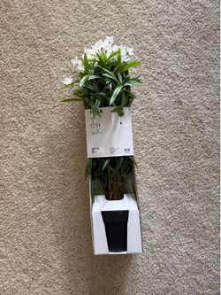 IKEA FEJKA Artificial Flowering Plant Tree – Brand New Still in Box
