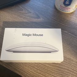 Magic Mouse 2