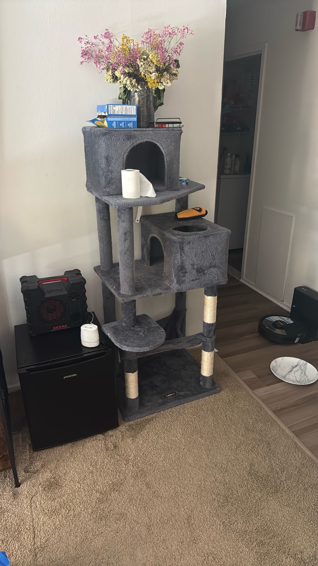 Cat House