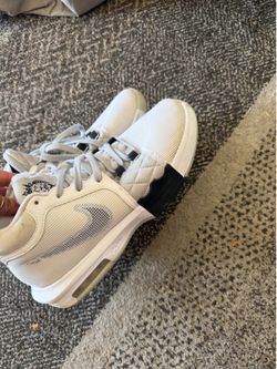 Men’s LeBron James  Nikes