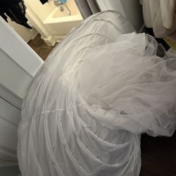 Crinoline