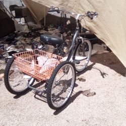 24" Northwood By Kent Trike 7speed