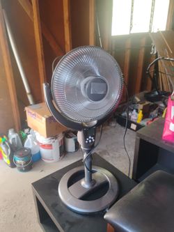 Fan