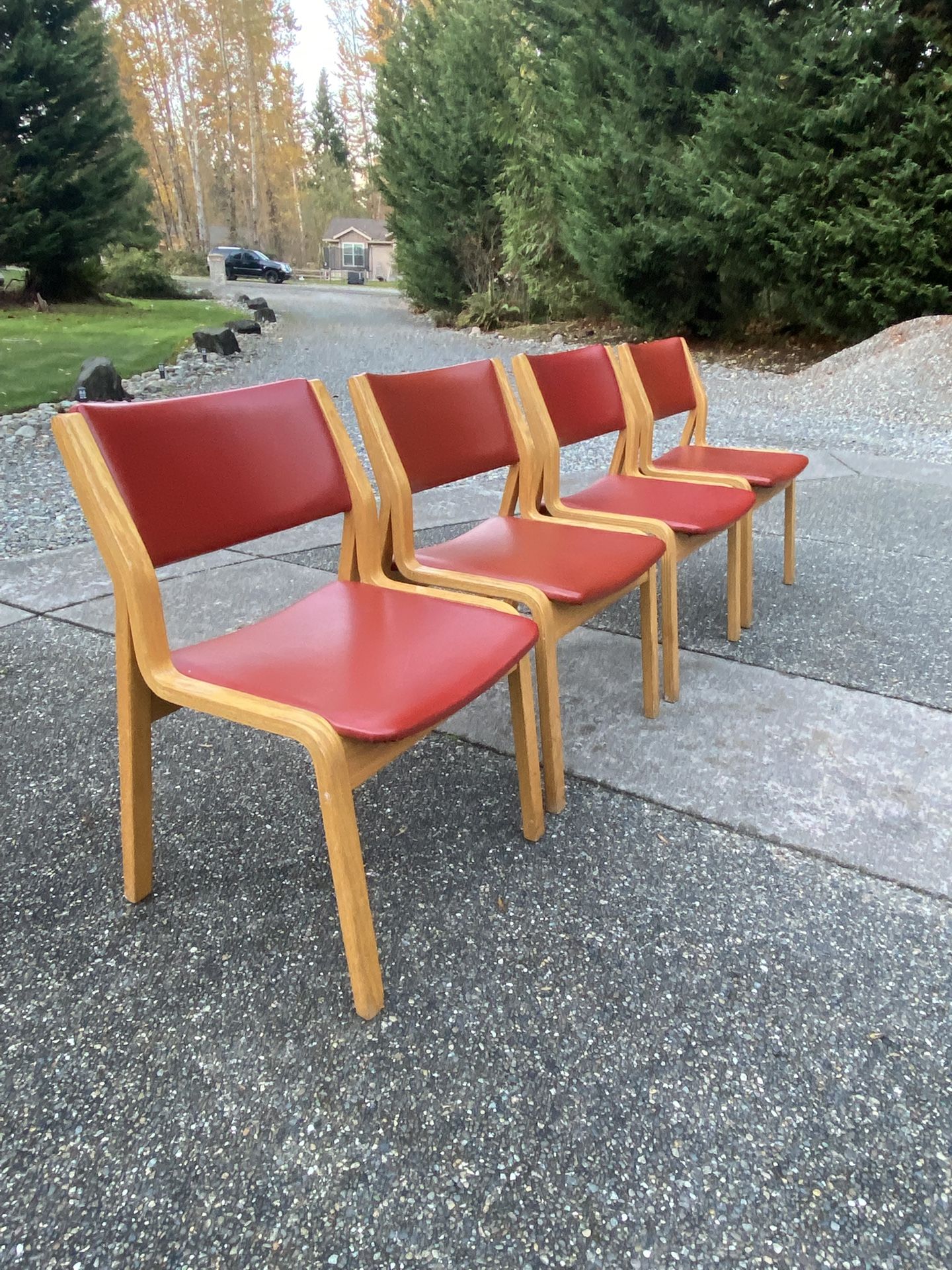 MCM bentwood dining chairs by Skagen. 