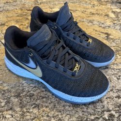Men’s Nike Lebron 20 XX Black Metallic Gold Basketball Shoes DJ5423-003 Size 9.5