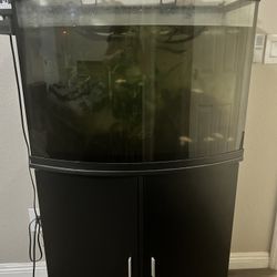 29 Gallon Fish Tank