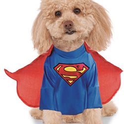 Superman/woman Small Dog Costume