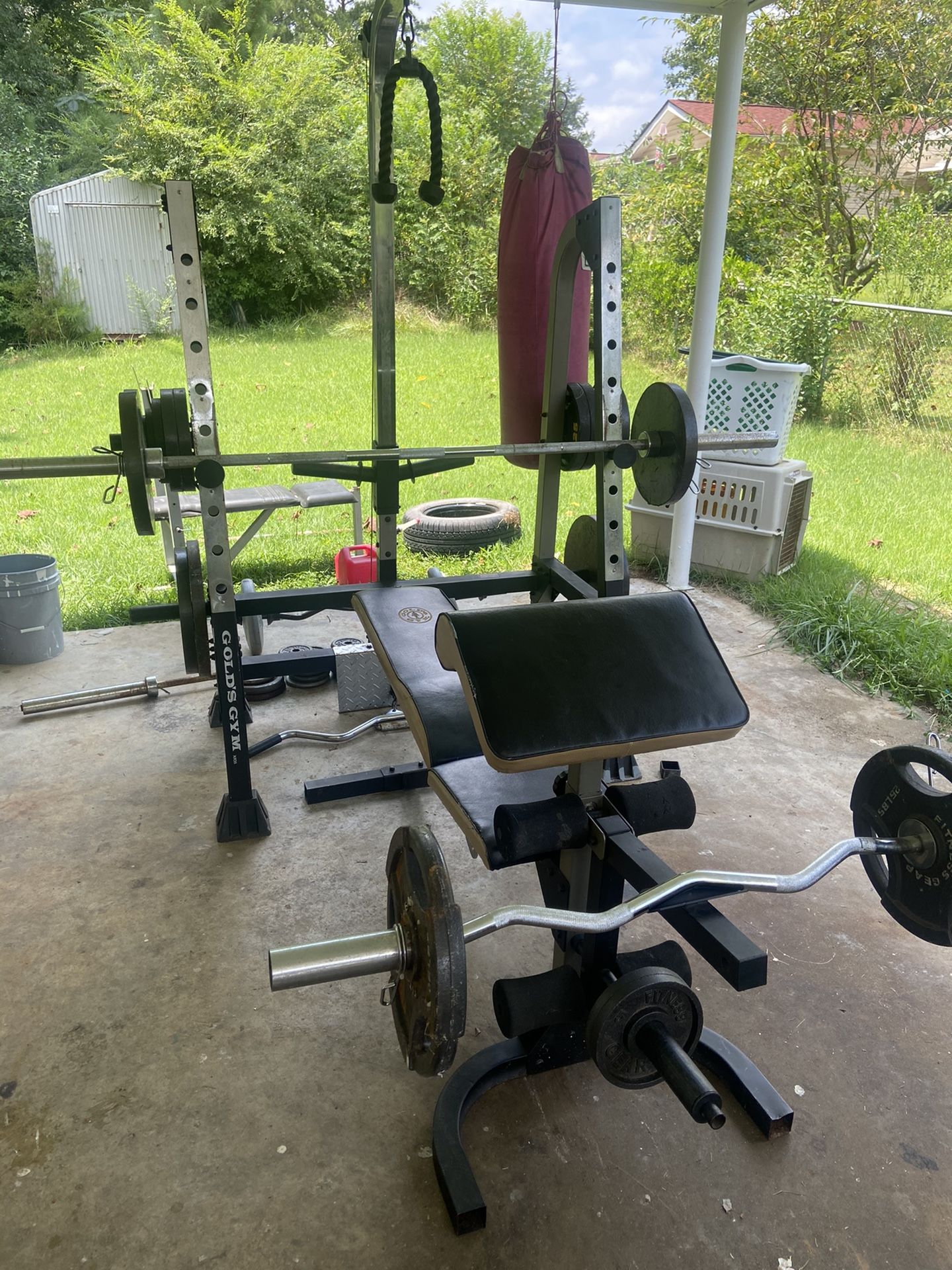 Complete Golden gym Bench With Weights 