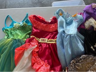 Girls Dress Up Collection