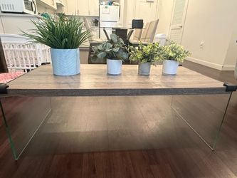Modern Coffee Table Decor Set with 4 Faux Plants