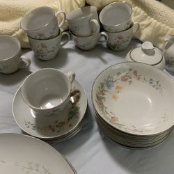 Beautiful Premiere MD104 Berkshire China Dishes