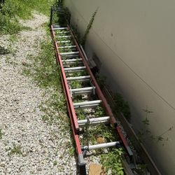 Extension Ladder 