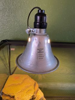 Electric Reptile Heat Lamp