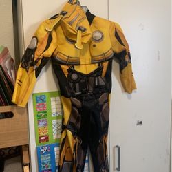 Bumblebee Costume $15