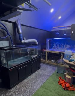 180 gallon dual overflow tank w/ stand