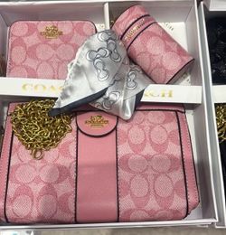 Coach Pink Signature Set with Chain Bag